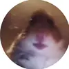 Reece - @ttv.reeceraymond2006 - TikTok