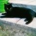 Raymond Rettig - Facebook