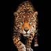 Raymond Rey - Facebook
