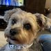 Ray Riendeau - Facebook