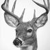 Raymond Riendeau - Facebook
