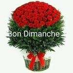 Raymond Fritz - @raymond.fritz.583 - Instagram
