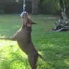 raymondrogan0 - @raymondrogan0 - TikTok