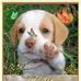 Raymond Rosenberg - Facebook
