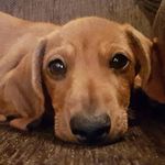 Paul Raymond Rowley - @paulrowleyb - Instagram
