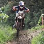 Raymond Royer - @raymondroyer429 - Instagram