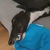 Raymond_Ruff - @raymond_ruff - TikTok
