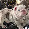 Raymond Rusty - @raymond.rusty - TikTok