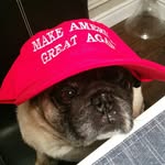 @raymondsacks - Instagram