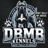 Raymonds🔥sticks - @dbmbkennels - TikTok