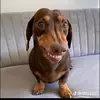 raymondsalmon - @raymondsalmon24 - TikTok