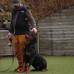Raymond Sandvik - @raymond.sandvik - Instagram