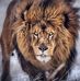 Raymond Sandy - Facebook