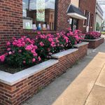 Raymond Sapp - @rasapp_library - Instagram