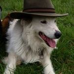 Raymond Schickes - @raymondschickes - Instagram