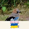 Raymond Schols - @raymond.schols - TikTok