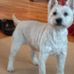 Raymond Schreiber - Facebook