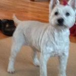 Raymond Schreiber - @schreiberraymond - Instagram