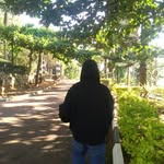 McQueen - @raymondschuster22026 - Instagram