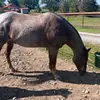 raymondschuetz - @raymondschuetz - TikTok