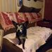 Ray Steitz - Facebook