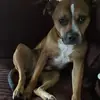 Raymond Sexton - @raymond.sexton - TikTok