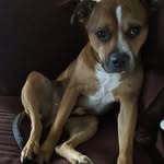 Raymond Sexton - @raymondsexton902 - Instagram