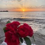 @raymondsharkey76 - Instagram