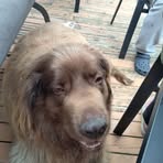 Raymond Shuler - Facebook