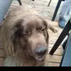 Raymond Shuler - @raymond.shuler6 - TikTok