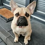 Raymond Sieben - @ralle71961sieben - Instagram