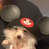 Raymond Sisneros - @raymond2578 - TikTok