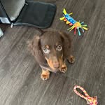 Raymond Sooho Choi - @choi.boi9 - Instagram