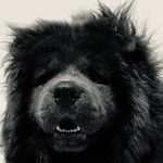 Raymonds Bucio - @raymonds_paint_and_body - Instagram
