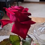 Raimond Spies - Facebook
