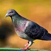 Raymond Starbuck - @raymond.starbuck - TikTok