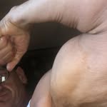 Raymond Storti - @raymondstorti - Instagram