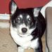 Ray Summerfield - Facebook