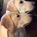 Raymond Sumner - Facebook