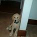 Raymond Sumner - Facebook