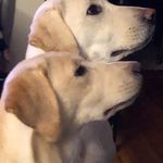 Raymond Sumner - @send.it.boyz - Instagram