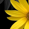 Raymond Tealer - @raymond.tealer - TikTok