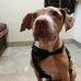 Raymond Teller - Facebook