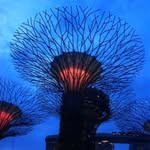 Raymond Tham - @rt21sg - Instagram