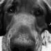 Raymond Thurber - Facebook