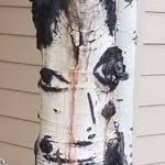 Chad Raymond Tilley - @chadtilley5 - Instagram