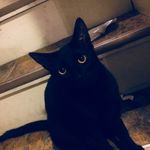 Raymond Timmons - @raymond_timmons - Instagram