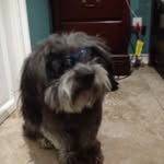 Raymond Urena - @ray___indoors - Instagram