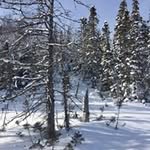 Raymond Vickers - @raymondvickers - Instagram