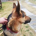 Raymond Vidal - @raymond.vidal.777 - Instagram